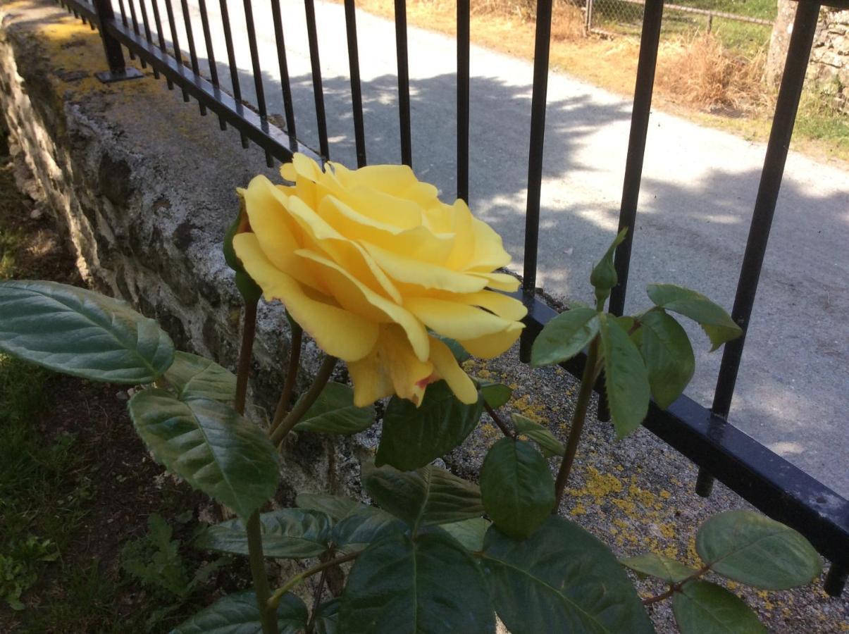 Orsennes Contesdunegrandmere 빌라 외부 사진